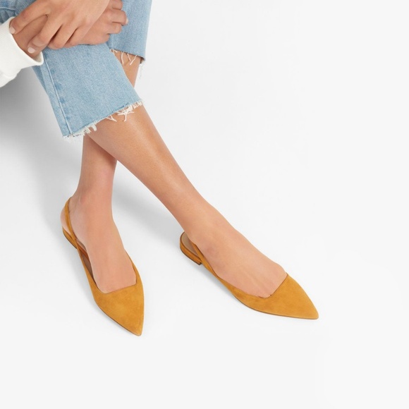 everlane pointed flats
